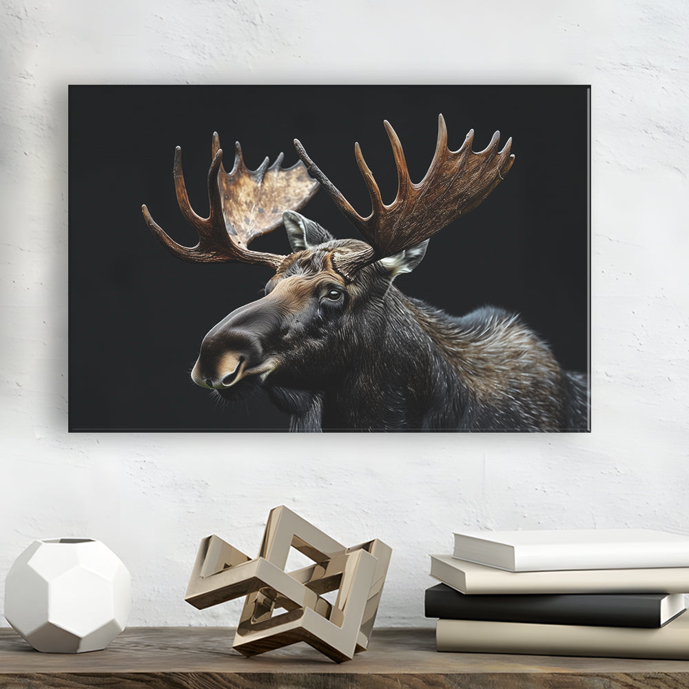 Moose Portrait With Black Background, Hunting Art Decor, Canvas Print Wall Art Home Decor
