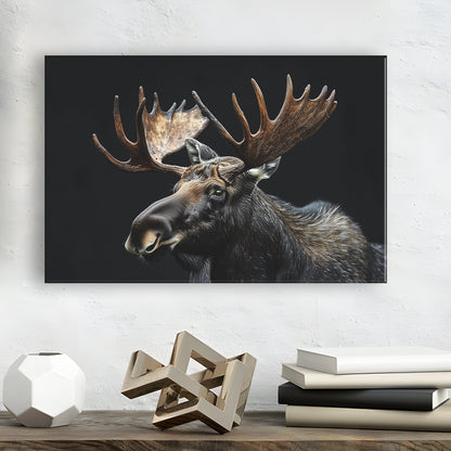 Moose Portrait With Black Background, Hunting Art Decor, Canvas Print Wall Art Home Decor