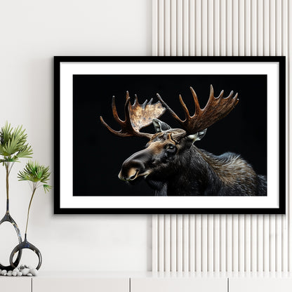 Moose Portrait With Black Background, Hunting Art Decor, Framed Art Print White Border Wall Decor