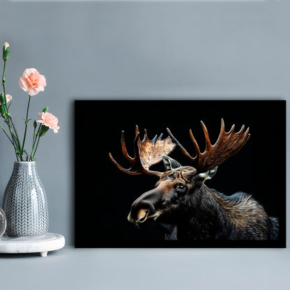 Moose Portrait With Black Background, Hunting Art Decor, Framed Art Print Wall Decor, Framed Picture