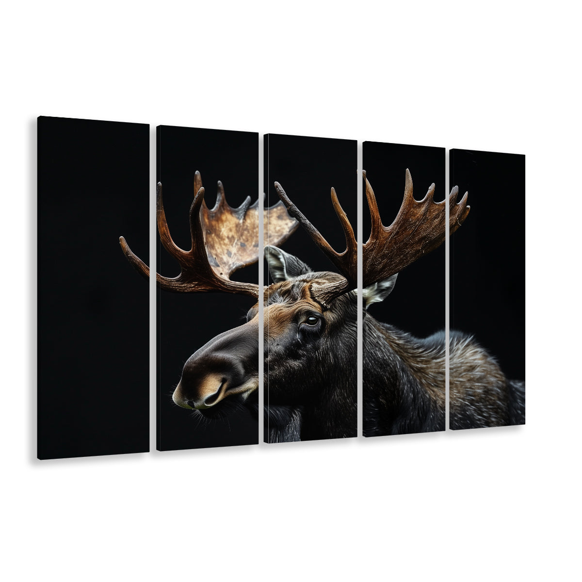 Moose Portrait With Black Background, Hunting Art, Multi Panels Canvas Print Wall Art