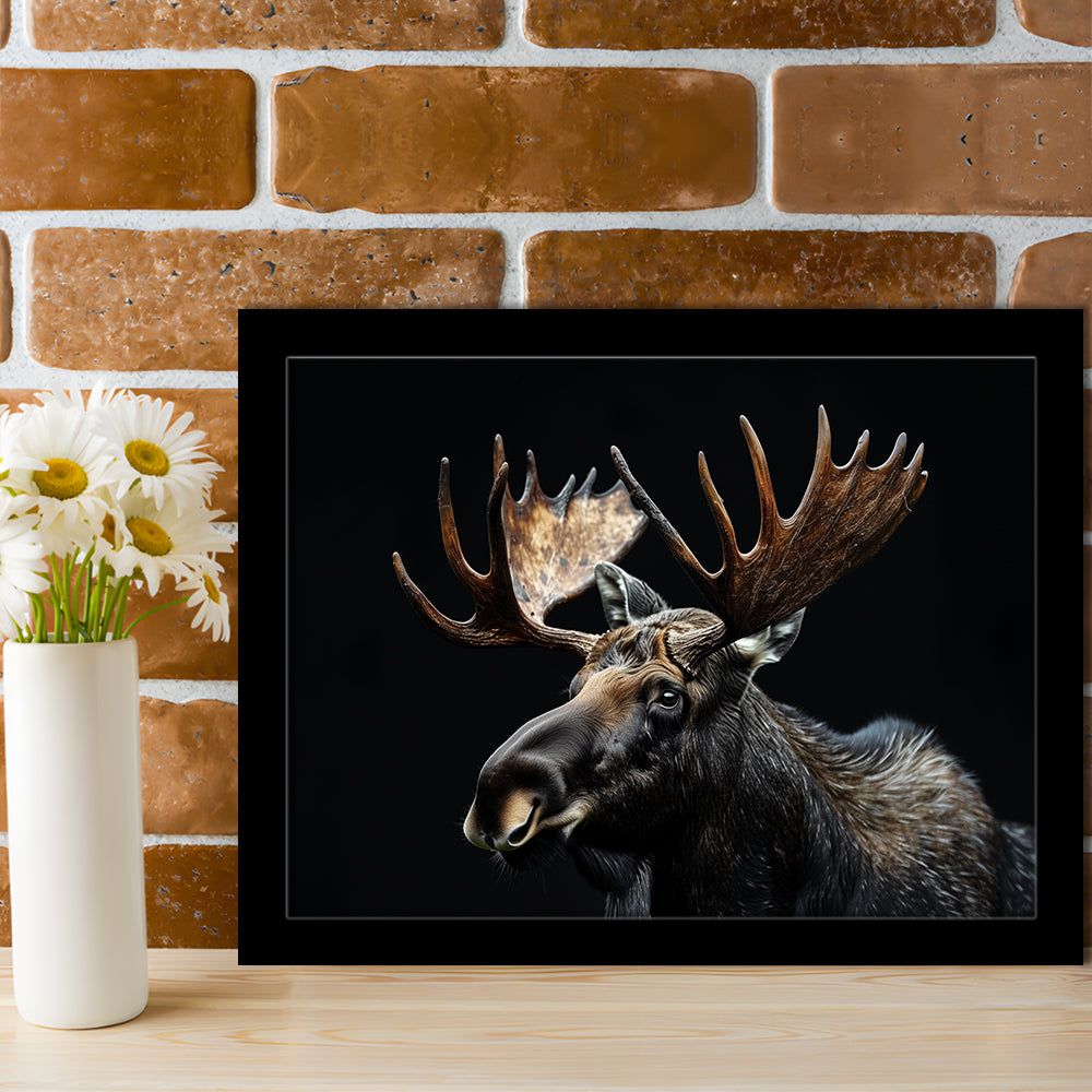 Moose Portrait With Black Background, Hunting Art Decor, Framed Art Print Wall Decor, Framed Picture