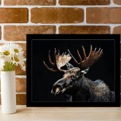 Moose Portrait With Black Background, Hunting Art Decor, Framed Art Print Wall Decor, Framed Picture