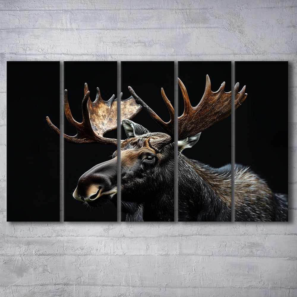 Moose Portrait With Black Background, Hunting Art, Multi Panels Canvas Print Wall Art