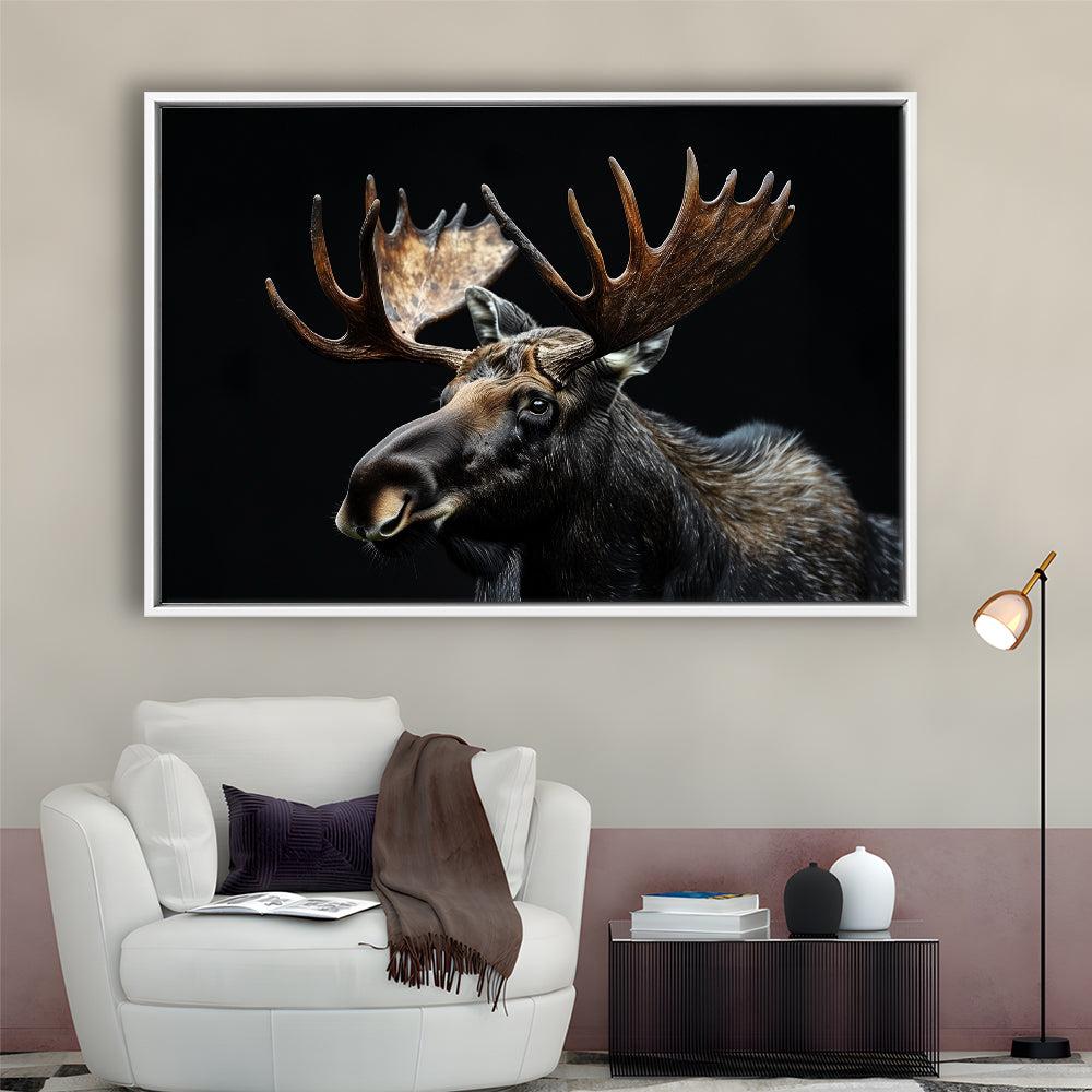 Moose Portrait With Black Background, Hunting Art Decor, Floating Framed Canvas Print Wall Art