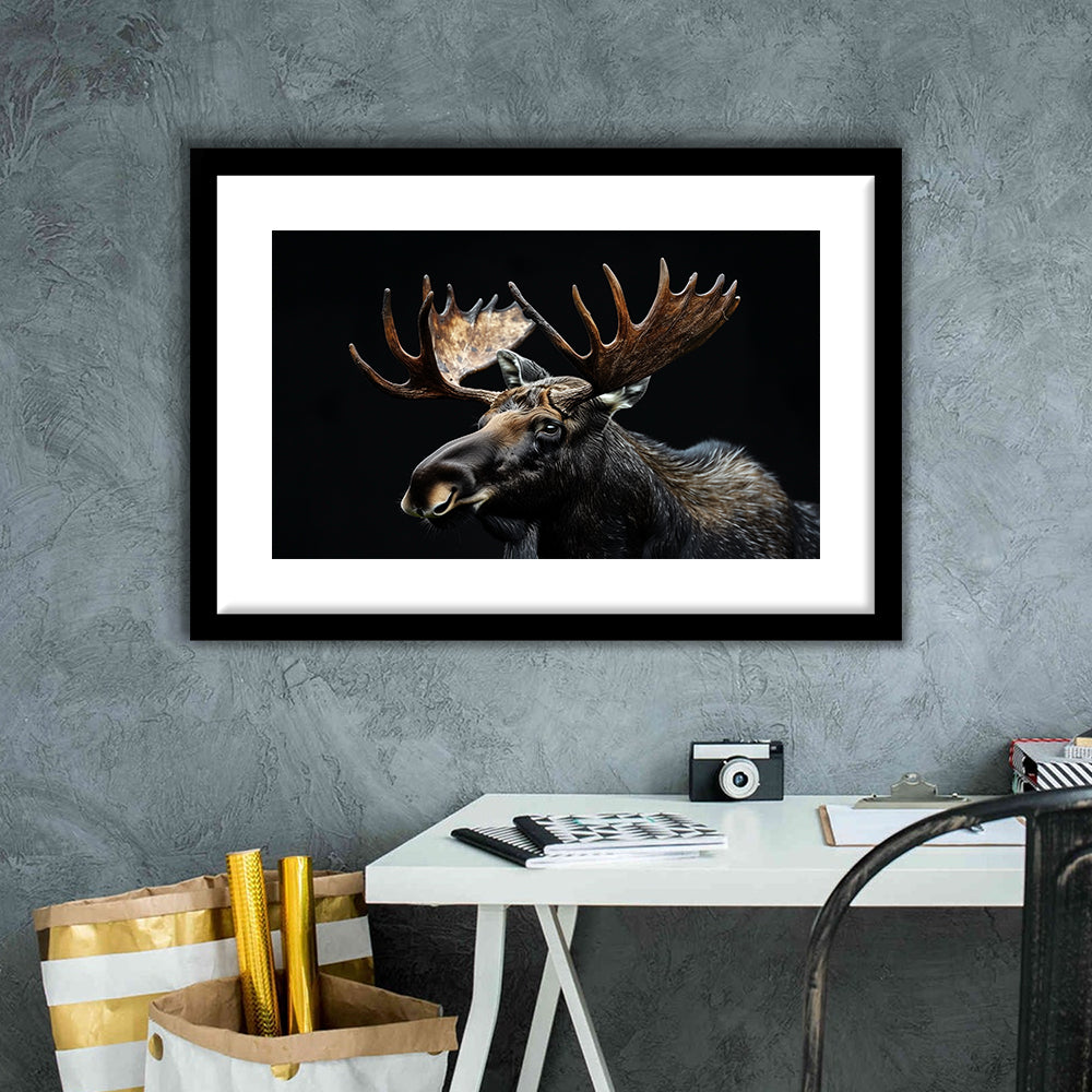 Moose Portrait With Black Background, Hunting Art Decor, Framed Art Print White Border Wall Decor