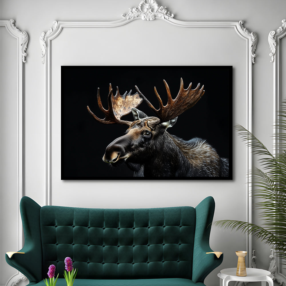 Moose Portrait With Black Background, Hunting Art Decor, Framed Art Print Wall Decor, Framed Picture