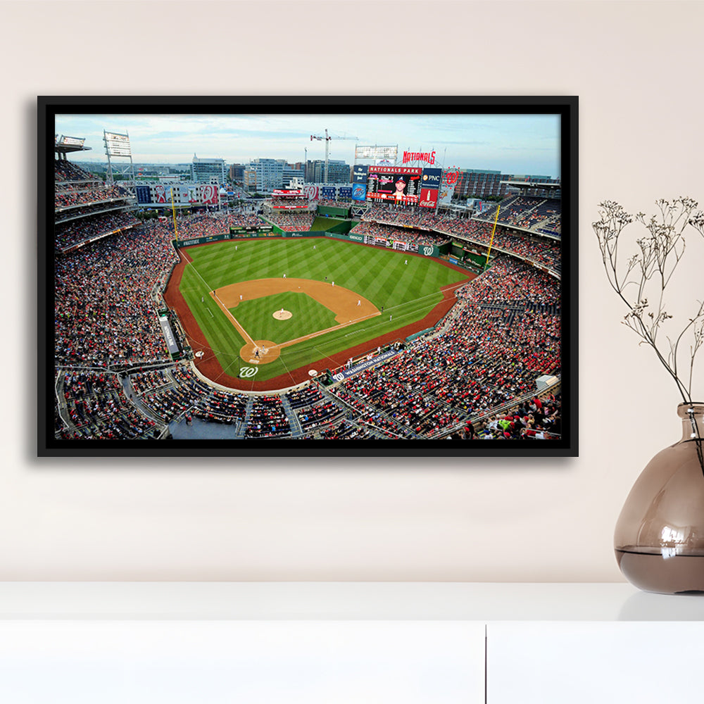 National Park Washington Dc, Stadium Canvas, Sport Art, Framed Canvas Print Wall Art, Floating Frame