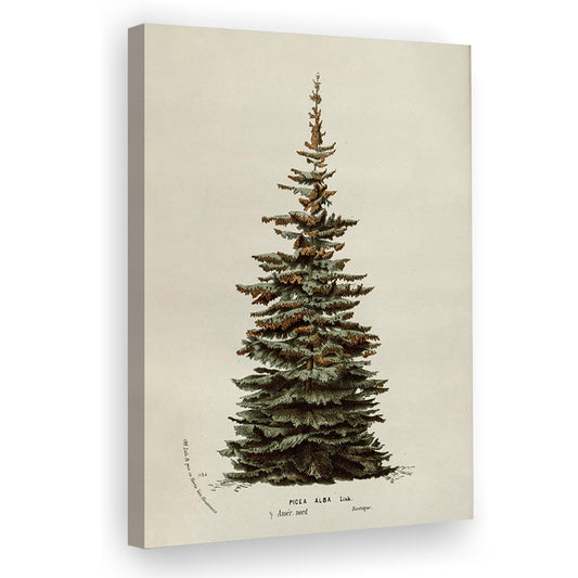 Neutral Christmas Tree Canvas Print Wall Art, Vintage Holiday Decor Rustic Winter Tree Print
