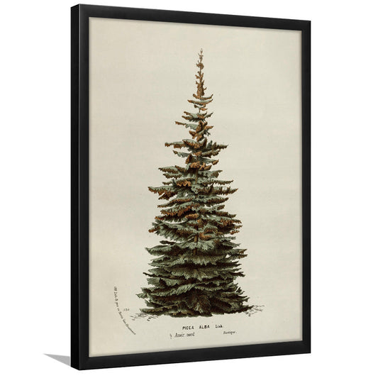 Neutral Christmas Tree Framed Art Print Wall Decor, Vintage Holiday Decor Rustic Winter Tree Print