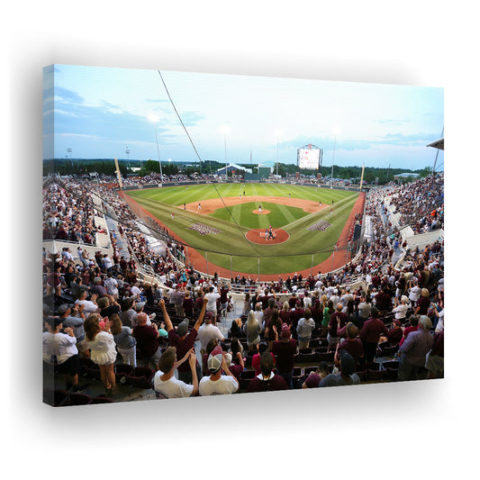 New Dudy Noble Field, Stadium Canvas, Sport Art, Gift for him, Man Cave Decor, Art Print, Canvas Print Wall Art