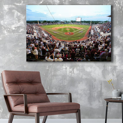 New Dudy Noble Field, Stadium Canvas, Sport Art, Gift for him, Man Cave Decor, Art Print, Canvas Print Wall Art