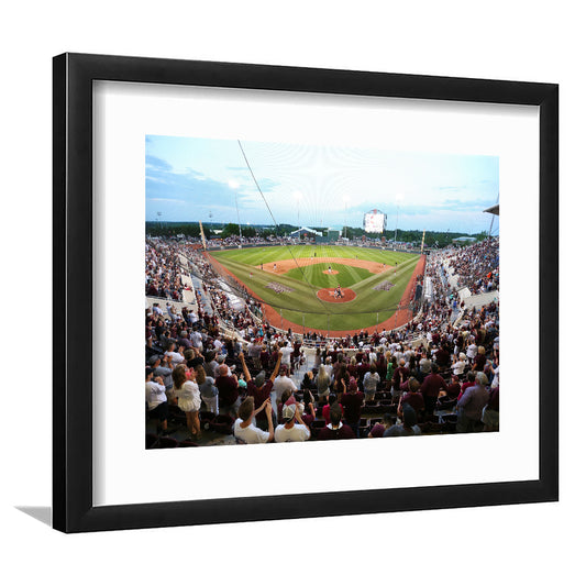 New Dudy Noble Field, Stadium Canvas, Sport Art, Gift for him, White Border Framed Art Print Wall Decor