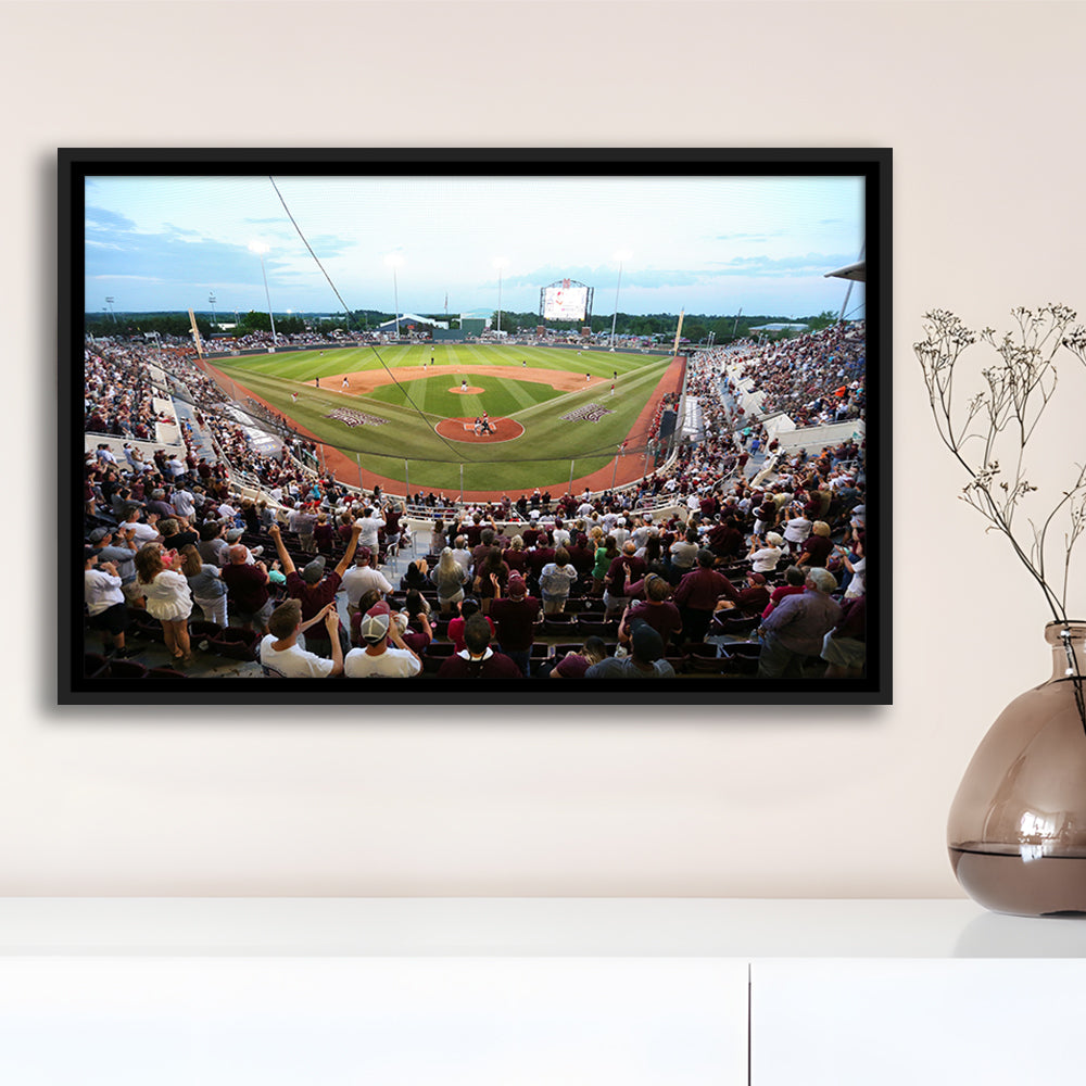 New Dudy Noble Field, Stadium Canvas, Sport Art, Framed Canvas Print Wall Art, Floating Frame