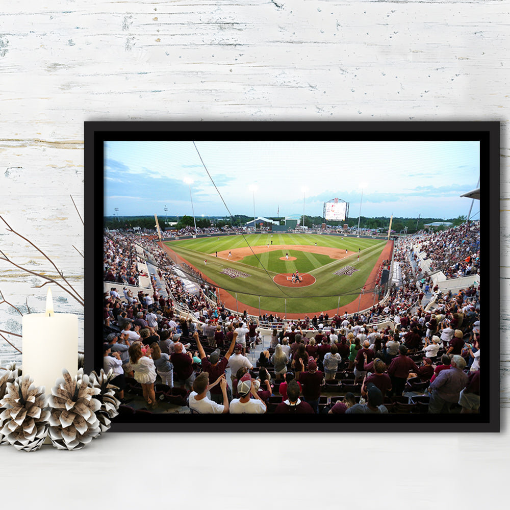 New Dudy Noble Field, Stadium Canvas, Sport Art, Framed Canvas Print Wall Art, Floating Frame
