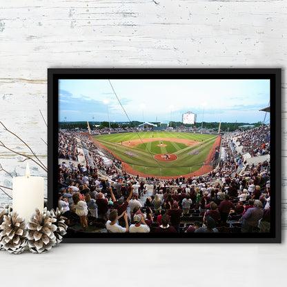 New Dudy Noble Field, Stadium Canvas, Sport Art, Framed Canvas Print Wall Art, Floating Frame
