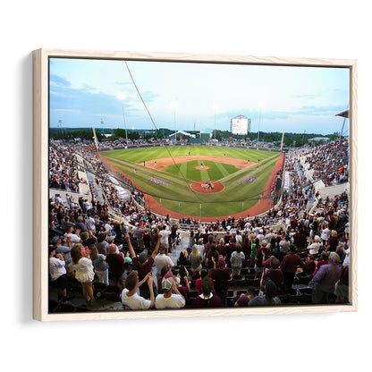New Dudy Noble Field, Stadium Canvas, Sport Art, Framed Canvas Print Wall Art, Floating Frame