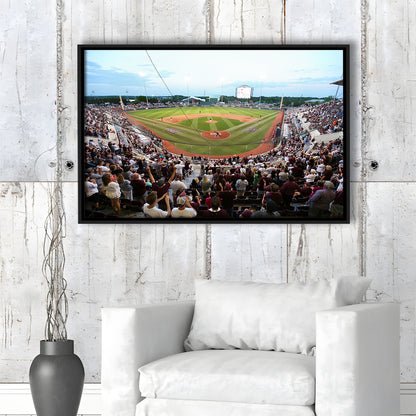 New Dudy Noble Field, Stadium Canvas, Sport Art, Framed Canvas Print Wall Art, Floating Frame