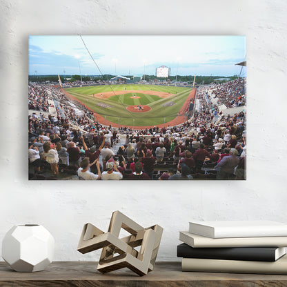 New Dudy Noble Field, Stadium Canvas, Sport Art, Gift for him, Man Cave Decor, Art Print, Canvas Print Wall Art