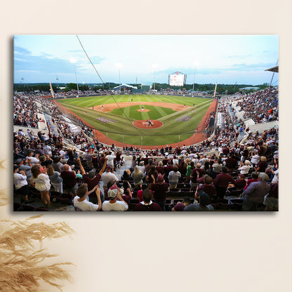 New Dudy Noble Field, Stadium Canvas, Sport Art, Gift for him, Man Cave Decor, Art Print, Canvas Print Wall Art