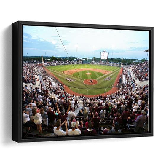 New Dudy Noble Field, Stadium Canvas, Sport Art, Framed Canvas Print Wall Art, Floating Frame
