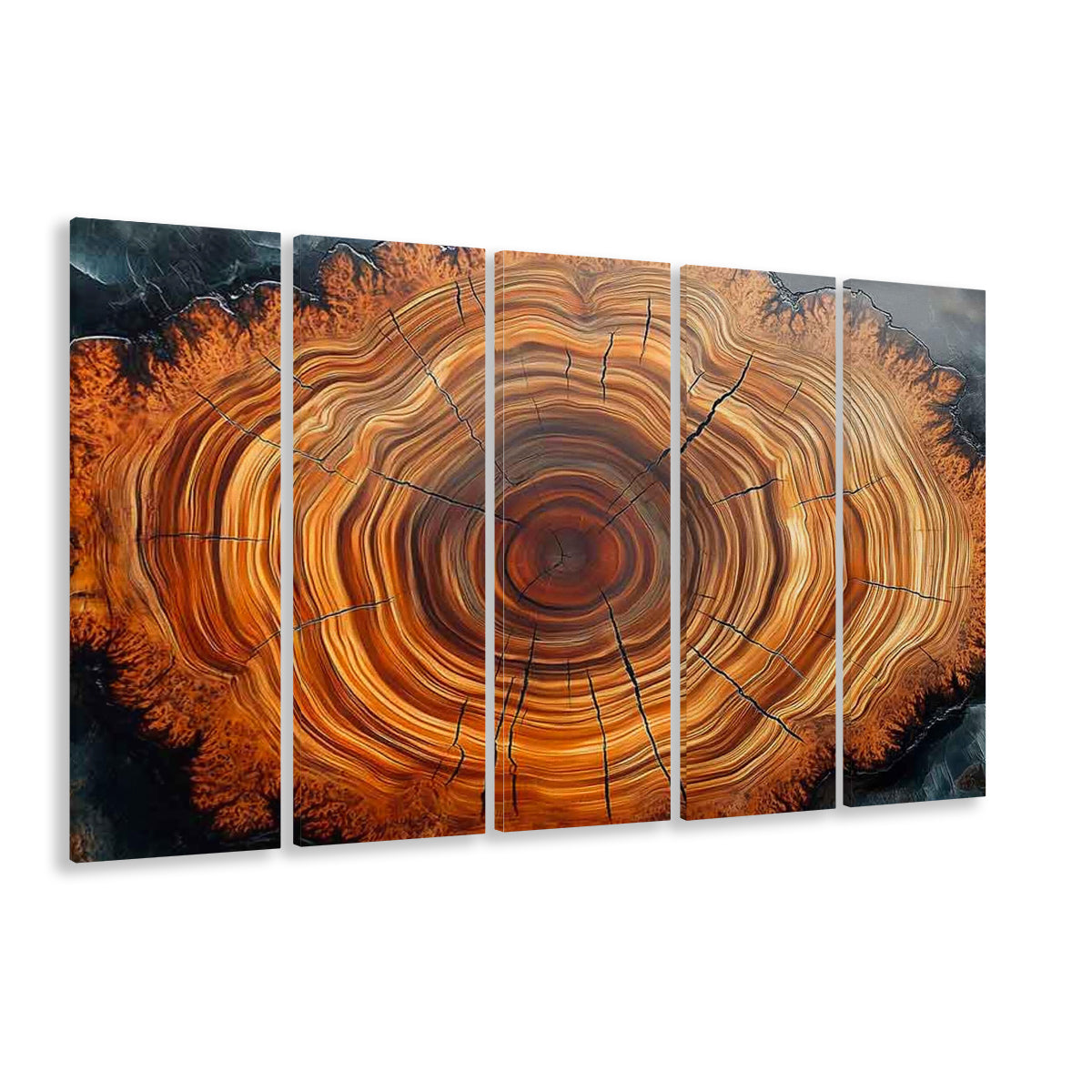Nordic Tree Ring Abstract Art,Tree Rings Canvas Print, 5 Piece B Extra Large Cavas Print Wall Art Decor