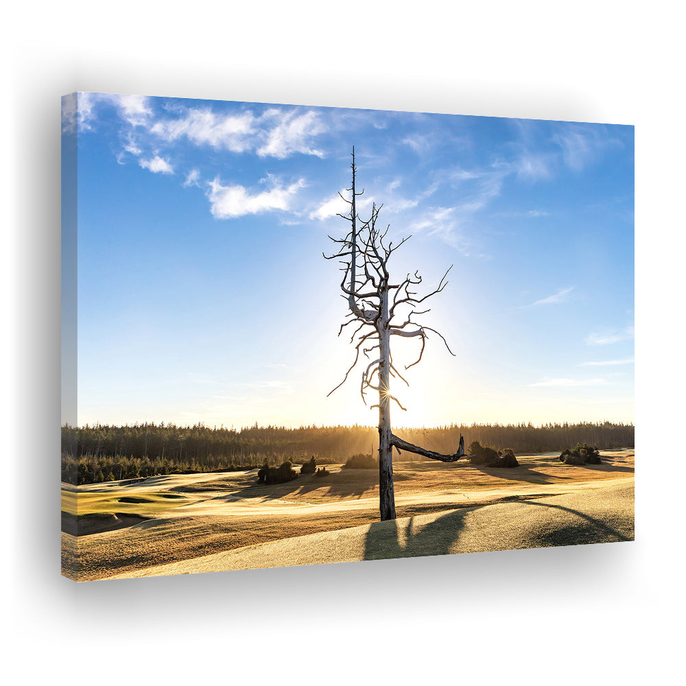 Old Macdonald Golf Course, Ghost Tree Fine Art, Golf Art Print,Gifts Golf Lover