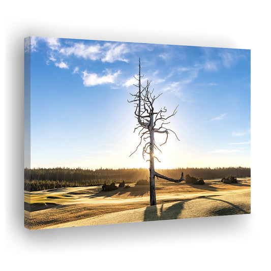 Old Macdonald Golf Course, Ghost Tree Fine Art, Golf Art Print,Gifts Golf Lover