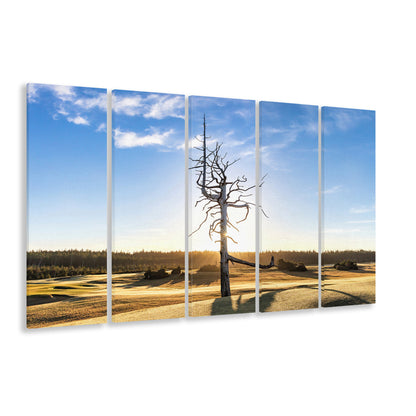 Old Macdonald Golf Course, Ghost Tree Fine Art, Golf Art Print, Extra Large Canvas Print Wall Art