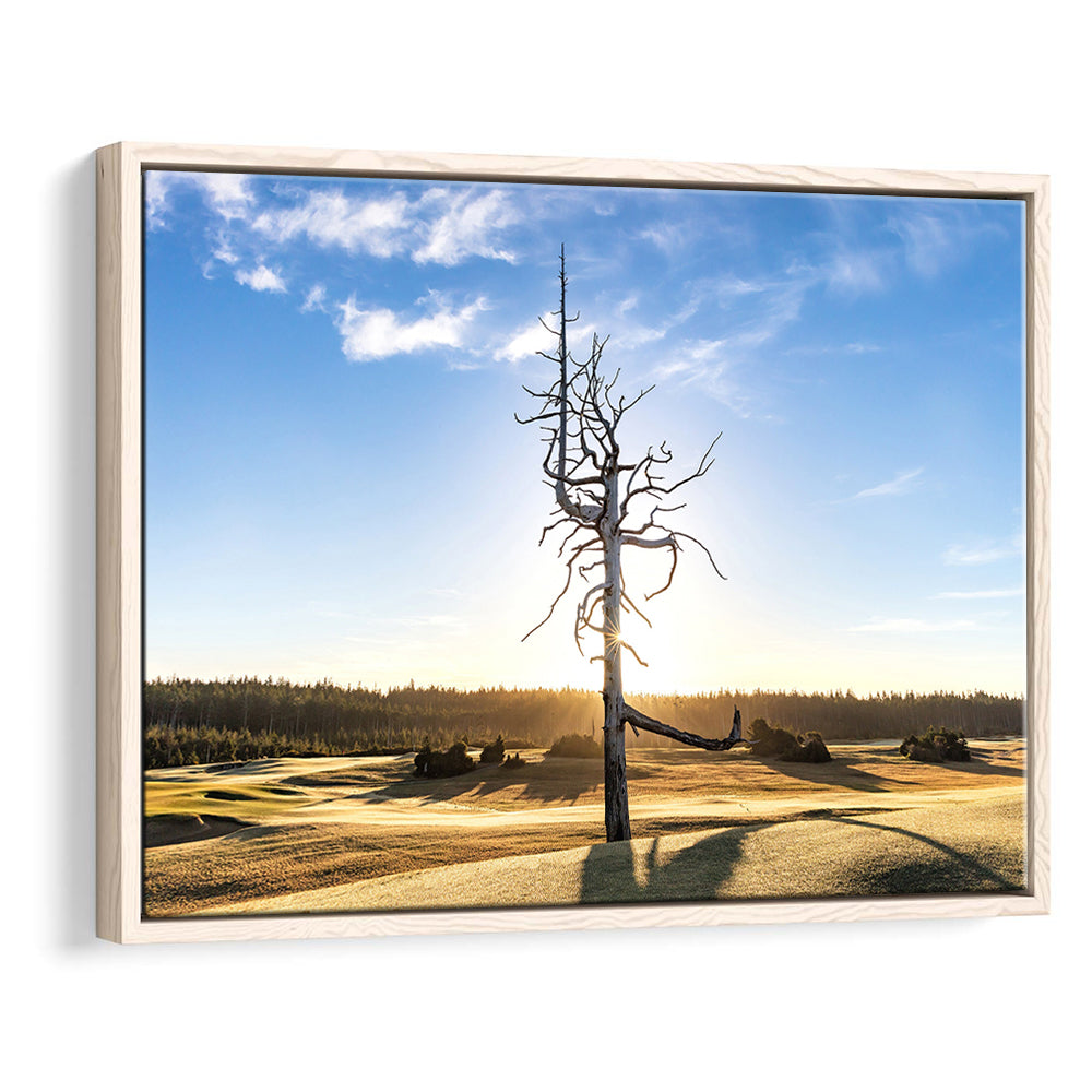 Old Macdonald Golf Course, Ghost Tree Fine Art, Floating Framed Canvas Print Wall Art