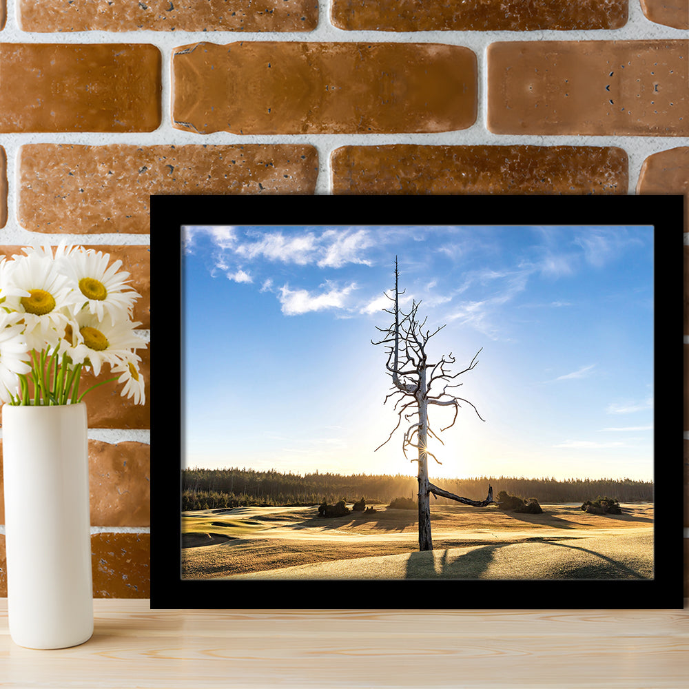 Old Macdonald Golf Course, Ghost Tree Fine Art, Framed Art Print Wall Decor, Picture Framed