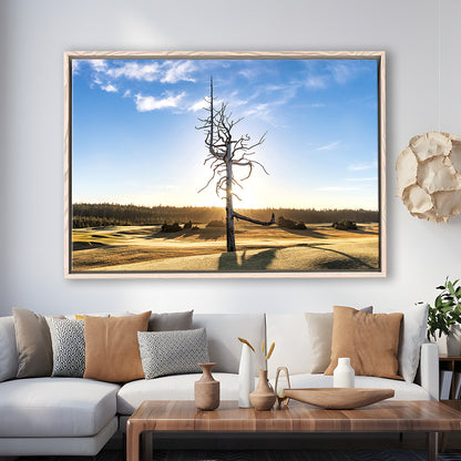 Old Macdonald Golf Course, Ghost Tree Fine Art, Floating Framed Canvas Print Wall Art