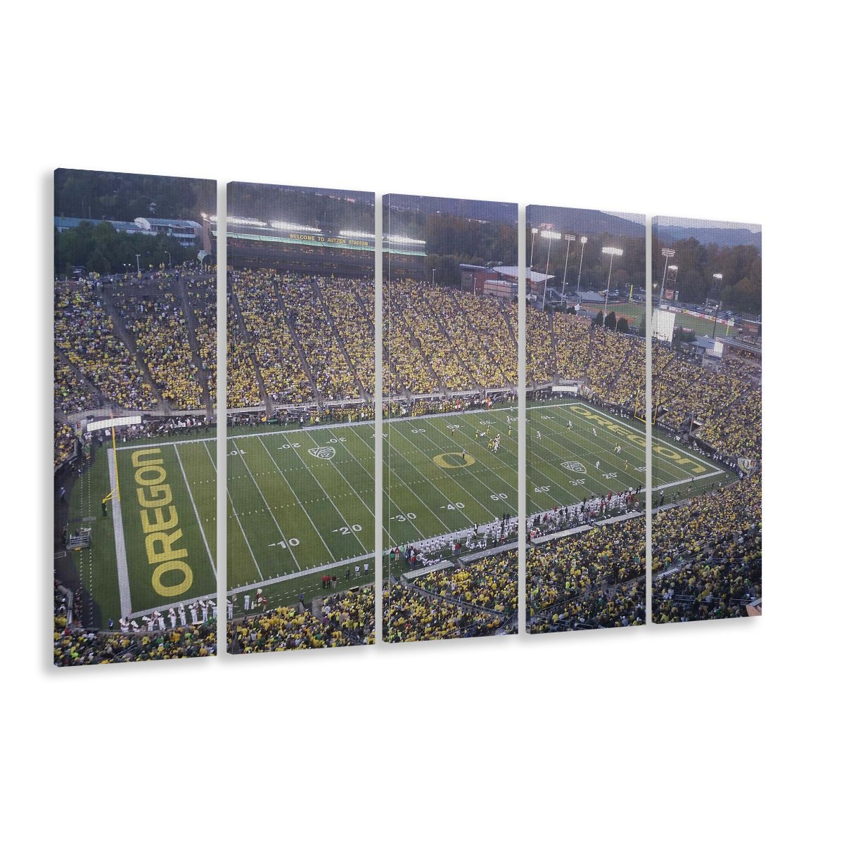 Oregon football Stadium, Stadium Canvas, Sport Art, 5 Panel B, Extra Large Canvas, Canvas Print Wall Art