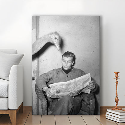 Ostrich Reading a Newspaper, Vintage Animal Photo Black and White Art, Canvas Print Wall Art
