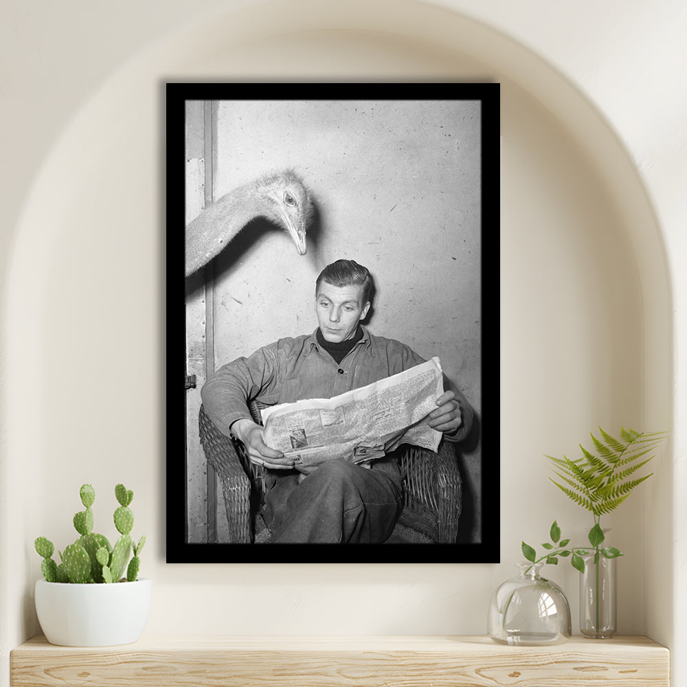 Ostrich Reading a Newspaper Funny Vintage Animal Photo Black and White Art, Framed Art Print Wall Decor