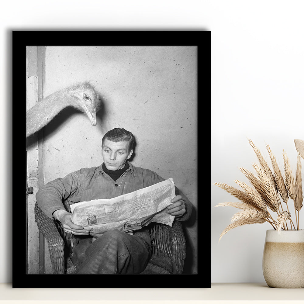 Ostrich Reading a Newspaper Funny Vintage Animal Photo Black and White Art, Framed Art Print Wall Decor