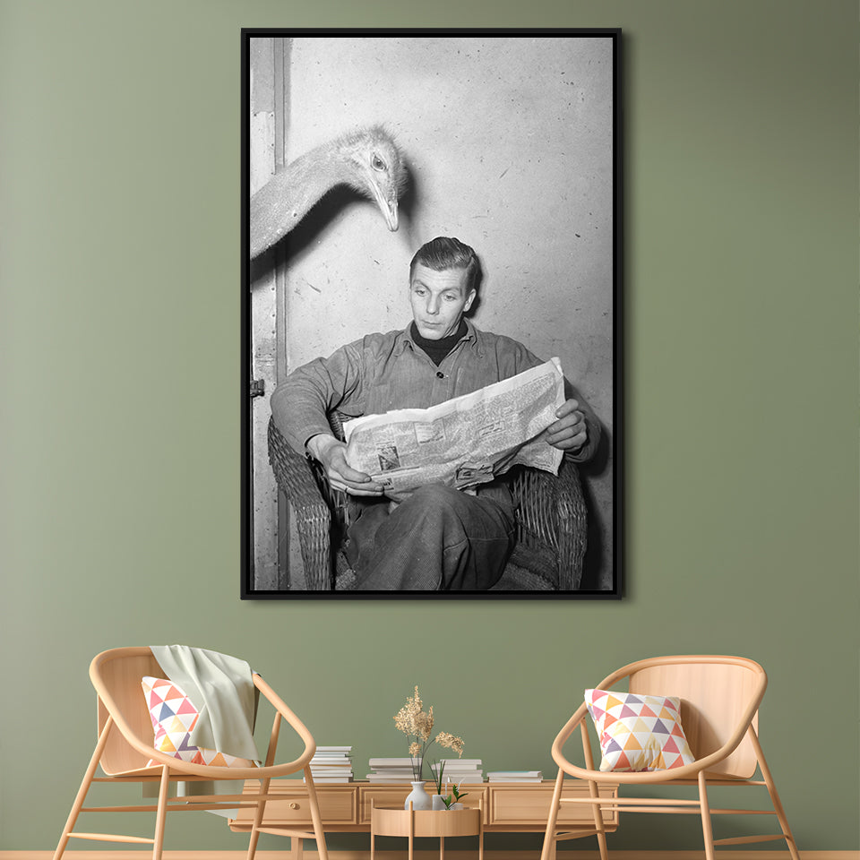 Ostrich Reading a Newspaper Funny Vintage Animal Photo Black and White Art, Floating Framed Canvas Print