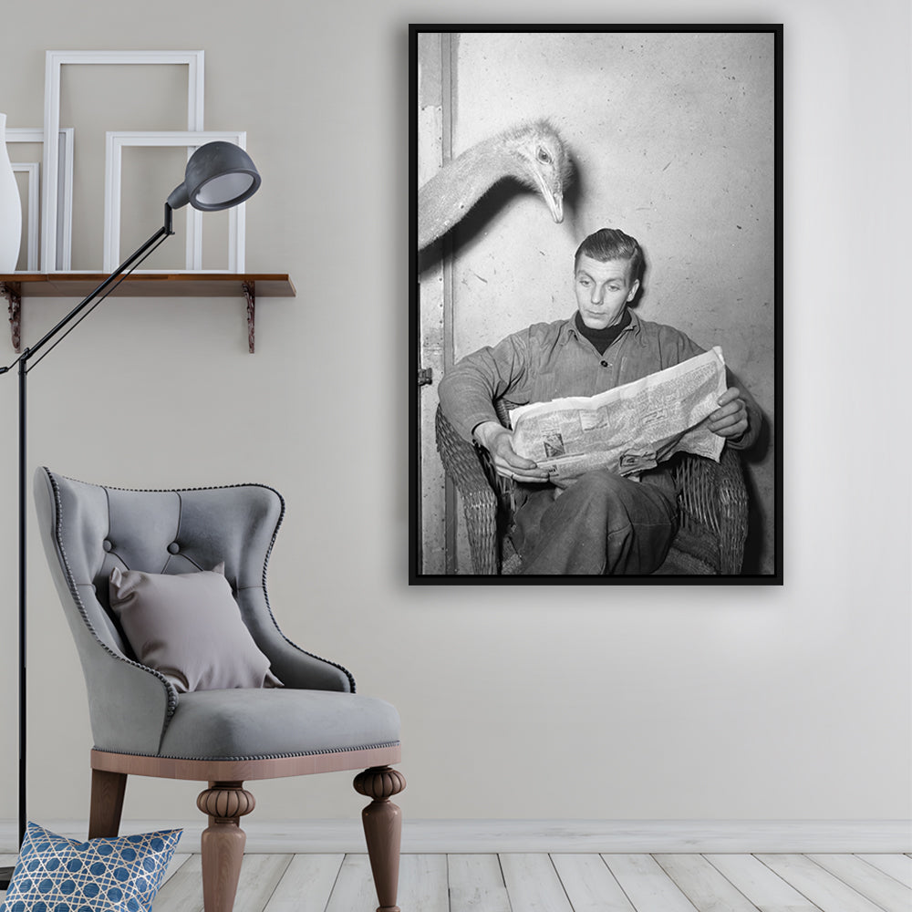 Ostrich Reading a Newspaper Funny Vintage Animal Photo Black and White Art, Floating Framed Canvas Print