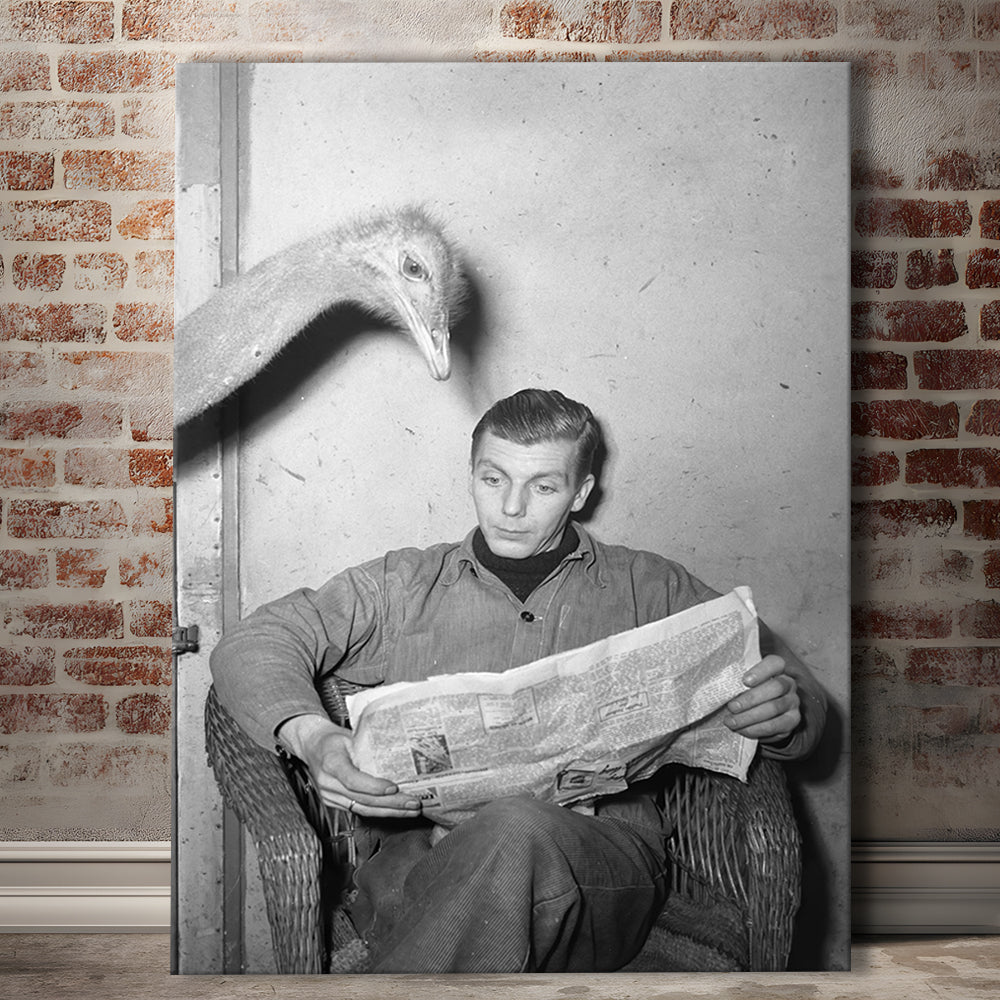 Ostrich Reading a Newspaper, Vintage Animal Photo Black and White Art, Canvas Print Wall Art