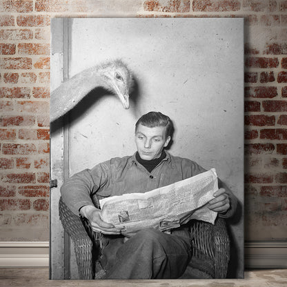 Ostrich Reading a Newspaper, Vintage Animal Photo Black and White Art, Canvas Print Wall Art