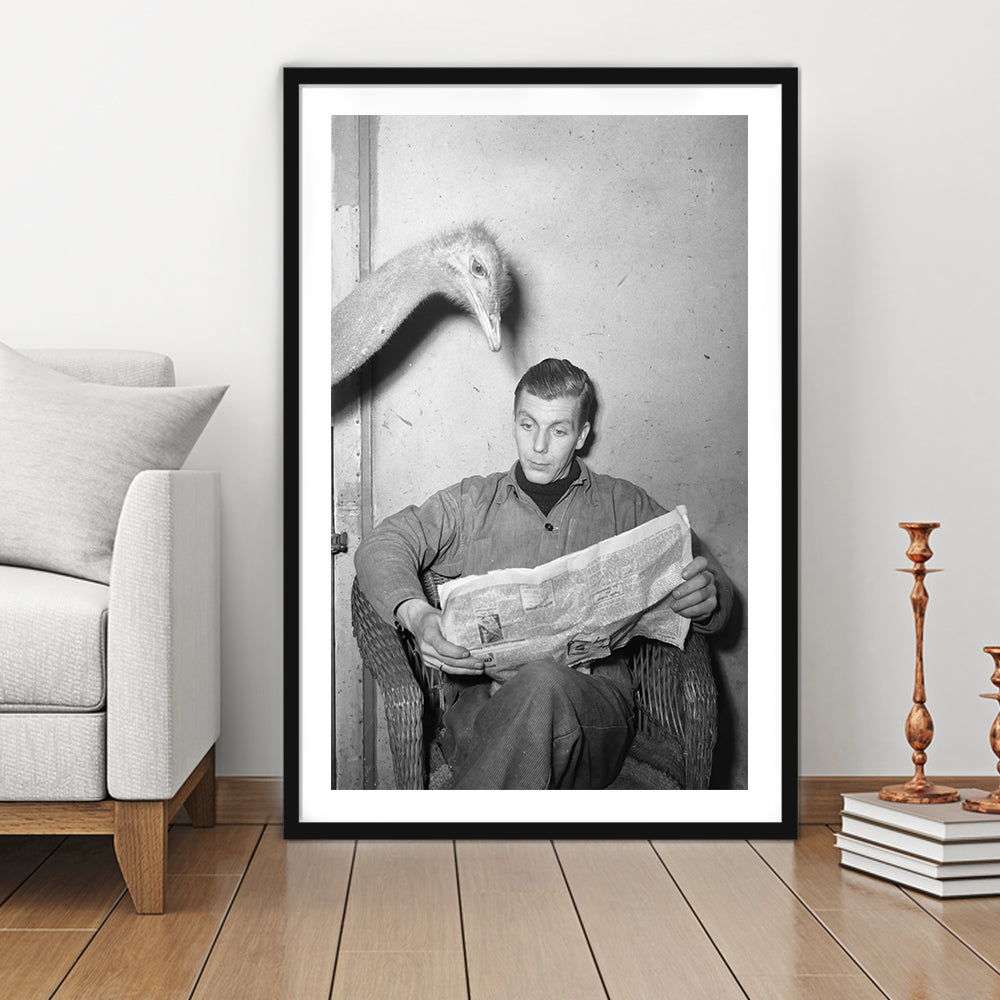 Ostrich Reading a Newspaper Funny Vintage Animal Photo Black and White Art, Framed Art Print White Border Wall Decor