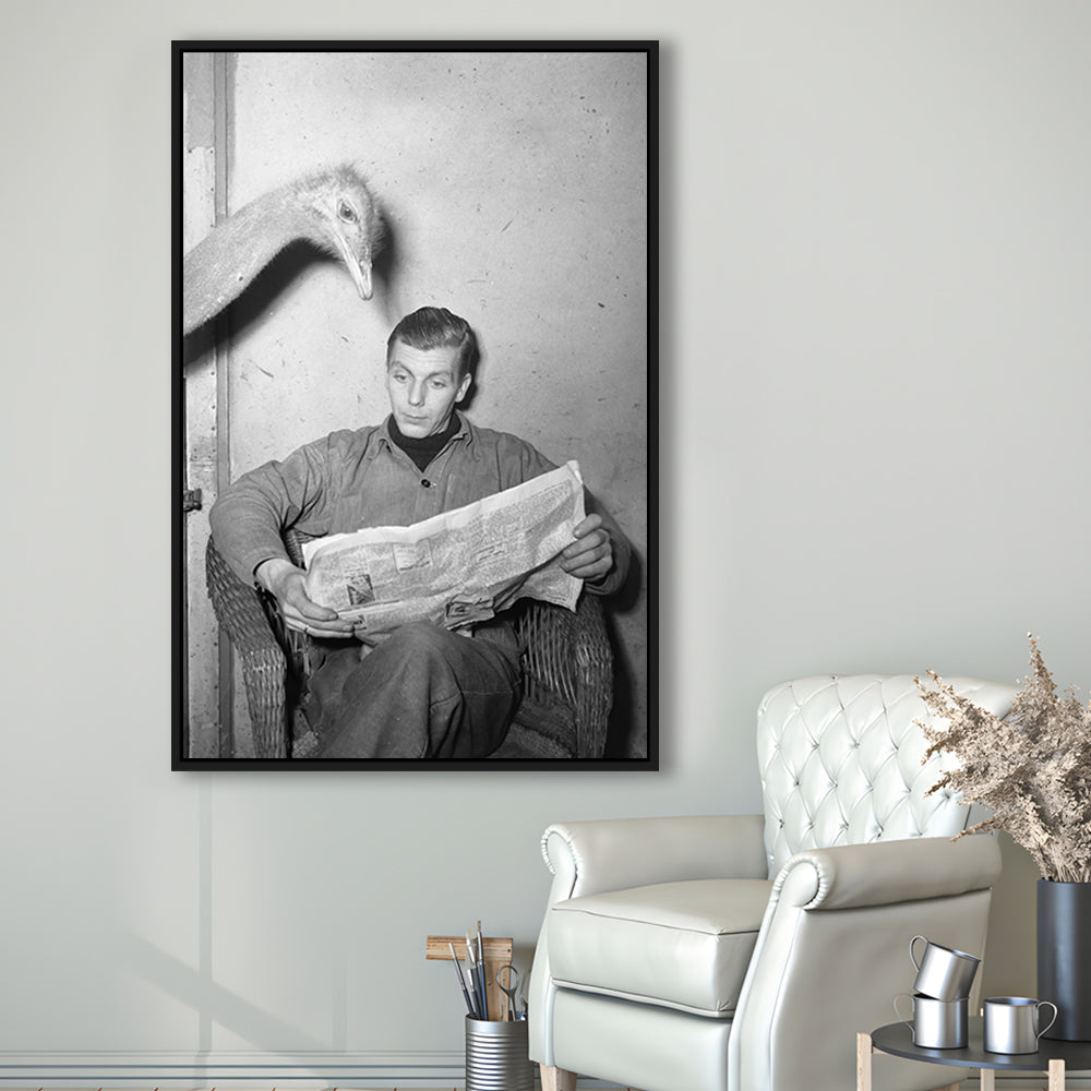 Ostrich Reading a Newspaper Funny Vintage Animal Photo Black and White Art, Floating Framed Canvas Print