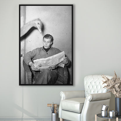 Ostrich Reading a Newspaper Funny Vintage Animal Photo Black and White Art, Floating Framed Canvas Print