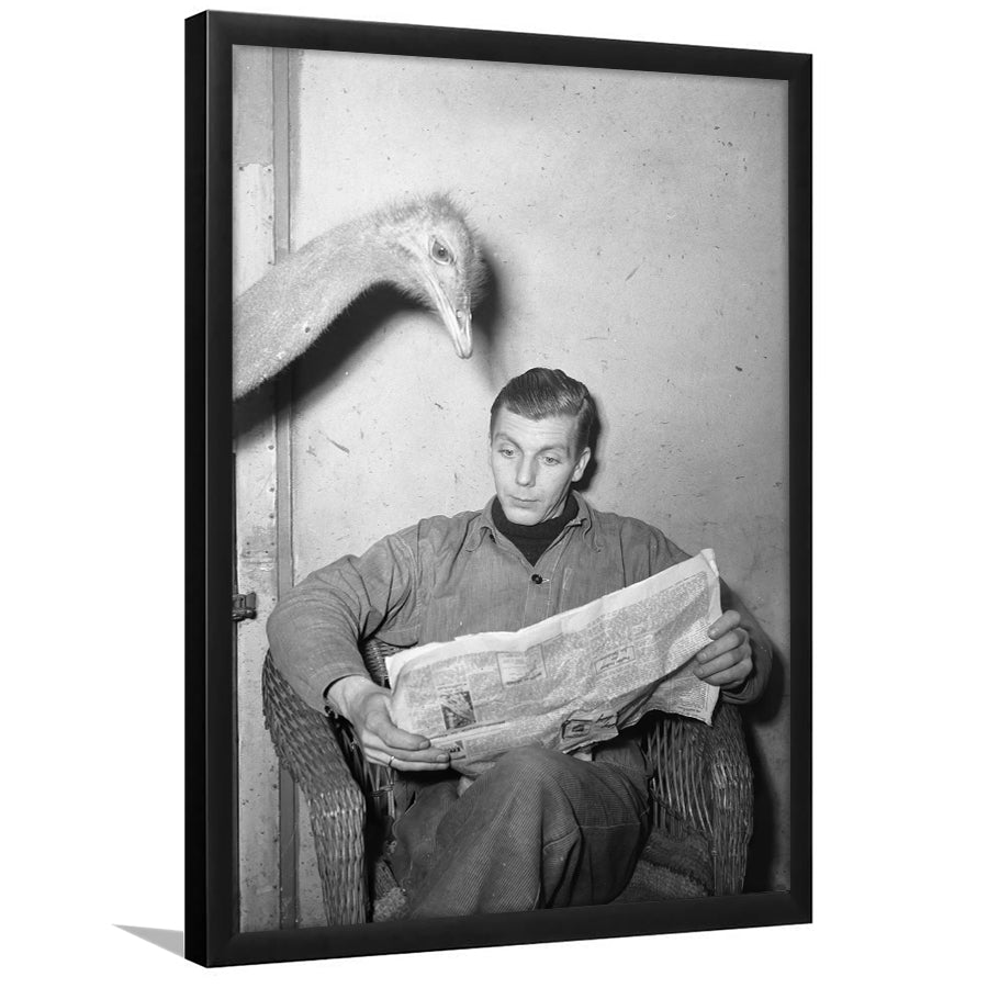 Ostrich Reading a Newspaper Funny Vintage Animal Photo Black and White Art, Framed Art Print Wall Decor