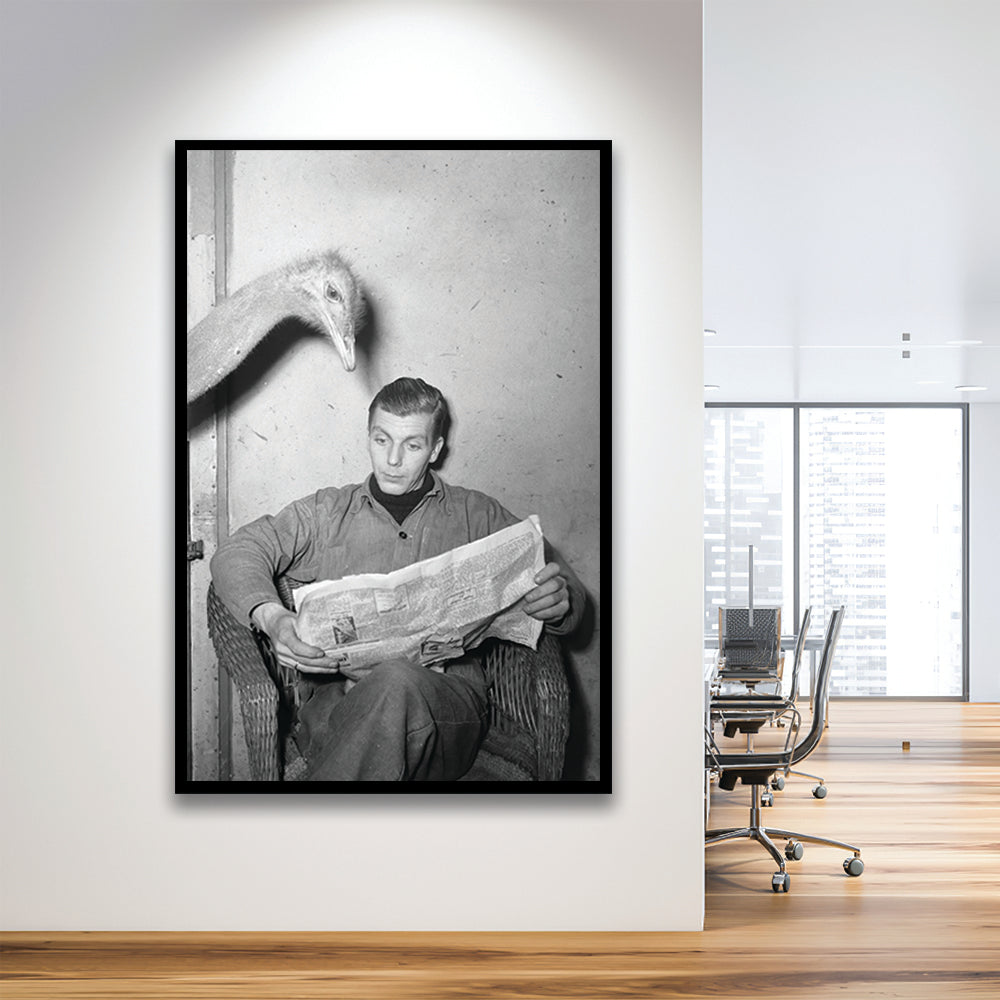 Ostrich Reading a Newspaper Funny Vintage Animal Photo Black and White Art, Framed Art Print Wall Decor