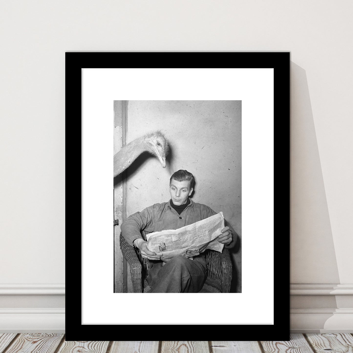 Ostrich Reading a Newspaper Funny Vintage Animal Photo Black and White Art, Framed Art Print White Border Wall Decor