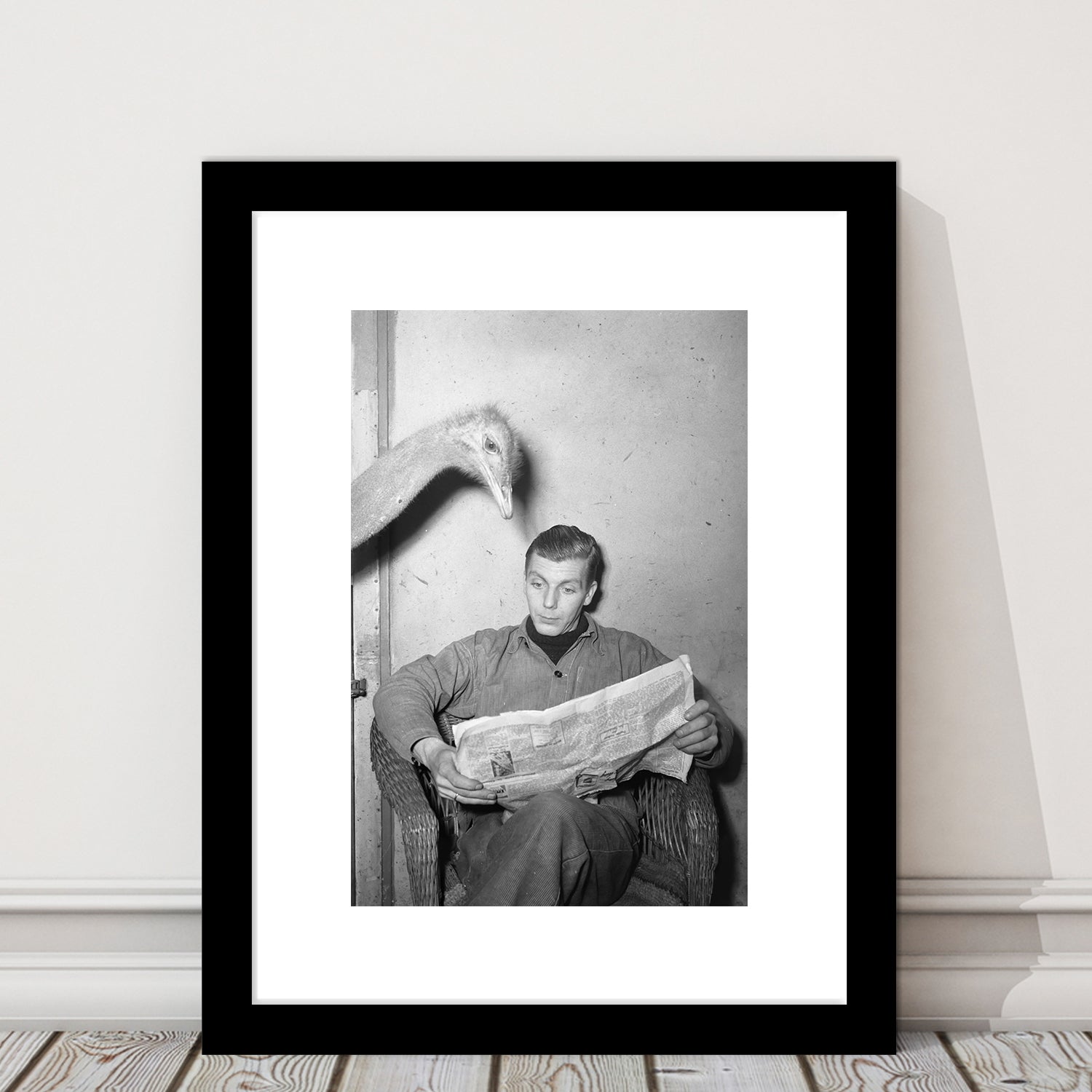 Ostrich Reading a Newspaper Funny Vintage Animal Photo Black and White Art, Framed Art Print White Border Wall Decor