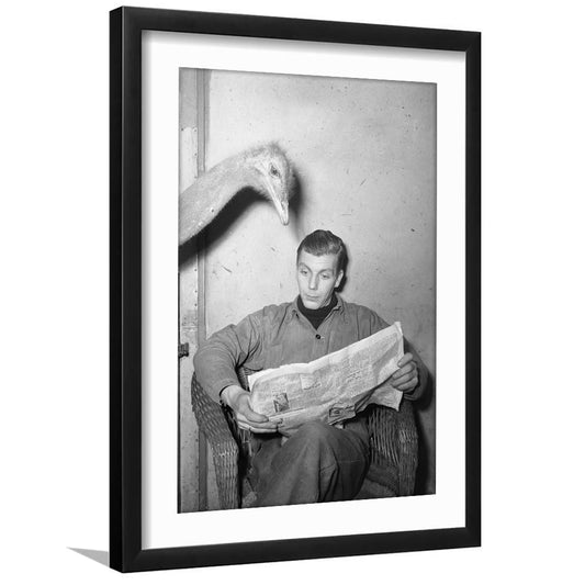 Ostrich Reading a Newspaper Funny Vintage Animal Photo Black and White Art, Framed Art Print White Border Wall Decor