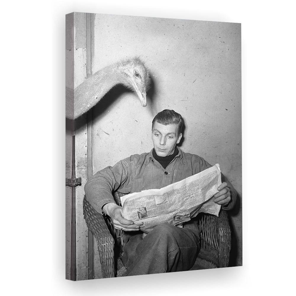 Ostrich Reading a Newspaper, Vintage Animal Photo Black and White Art, Canvas Print Wall Art