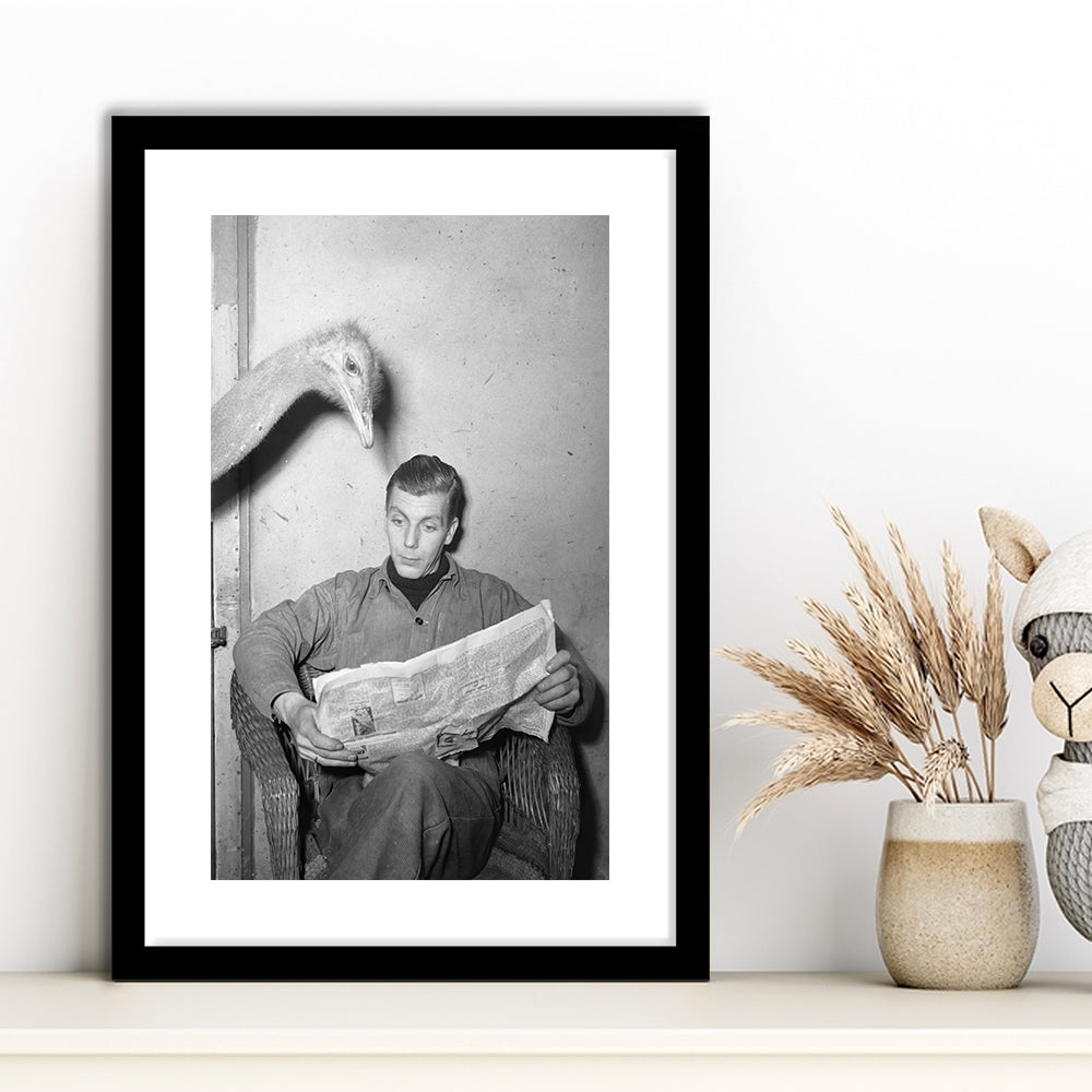 Ostrich Reading a Newspaper Funny Vintage Animal Photo Black and White Art, Framed Art Print White Border Wall Decor